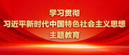 我受不了快插进来视频学习贯彻习近平新时代中国特色社会主义思想主题教育_fororder_ad-371X160(2)